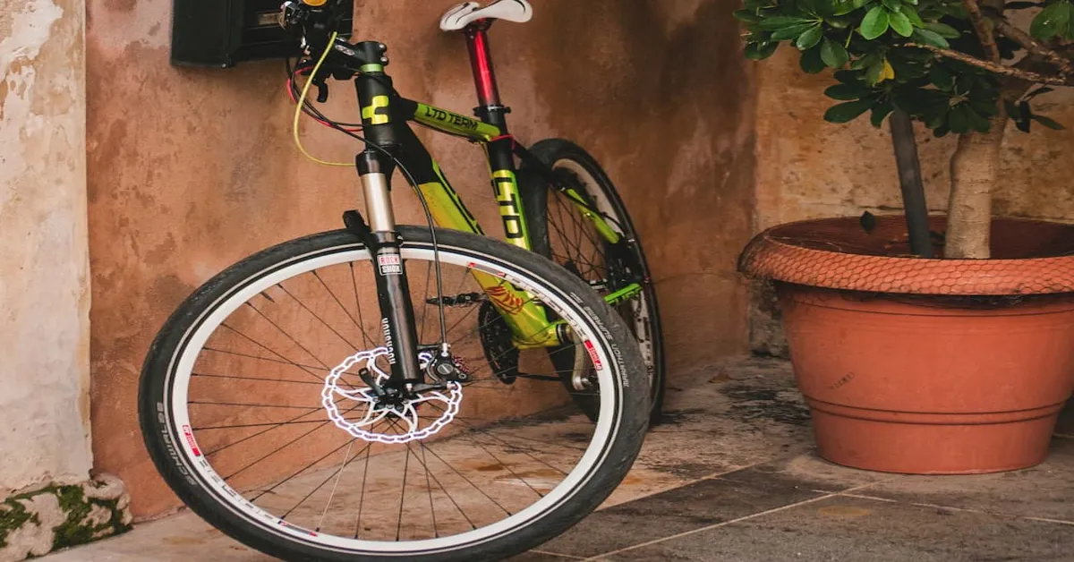 squeaky brakes on electric bike